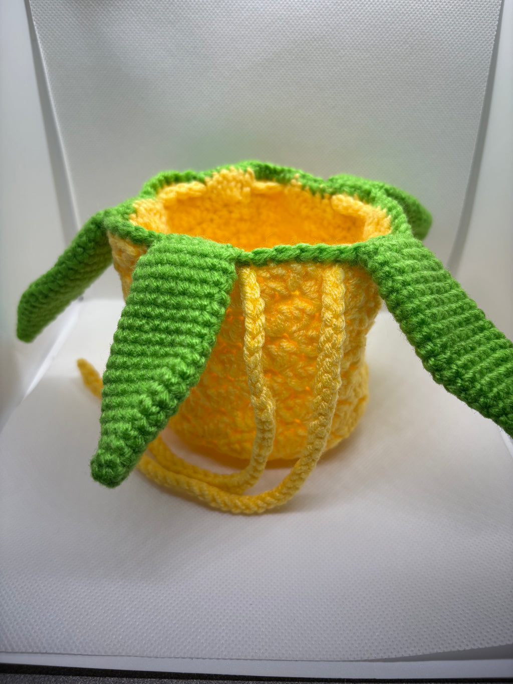 Pineapple Bag
