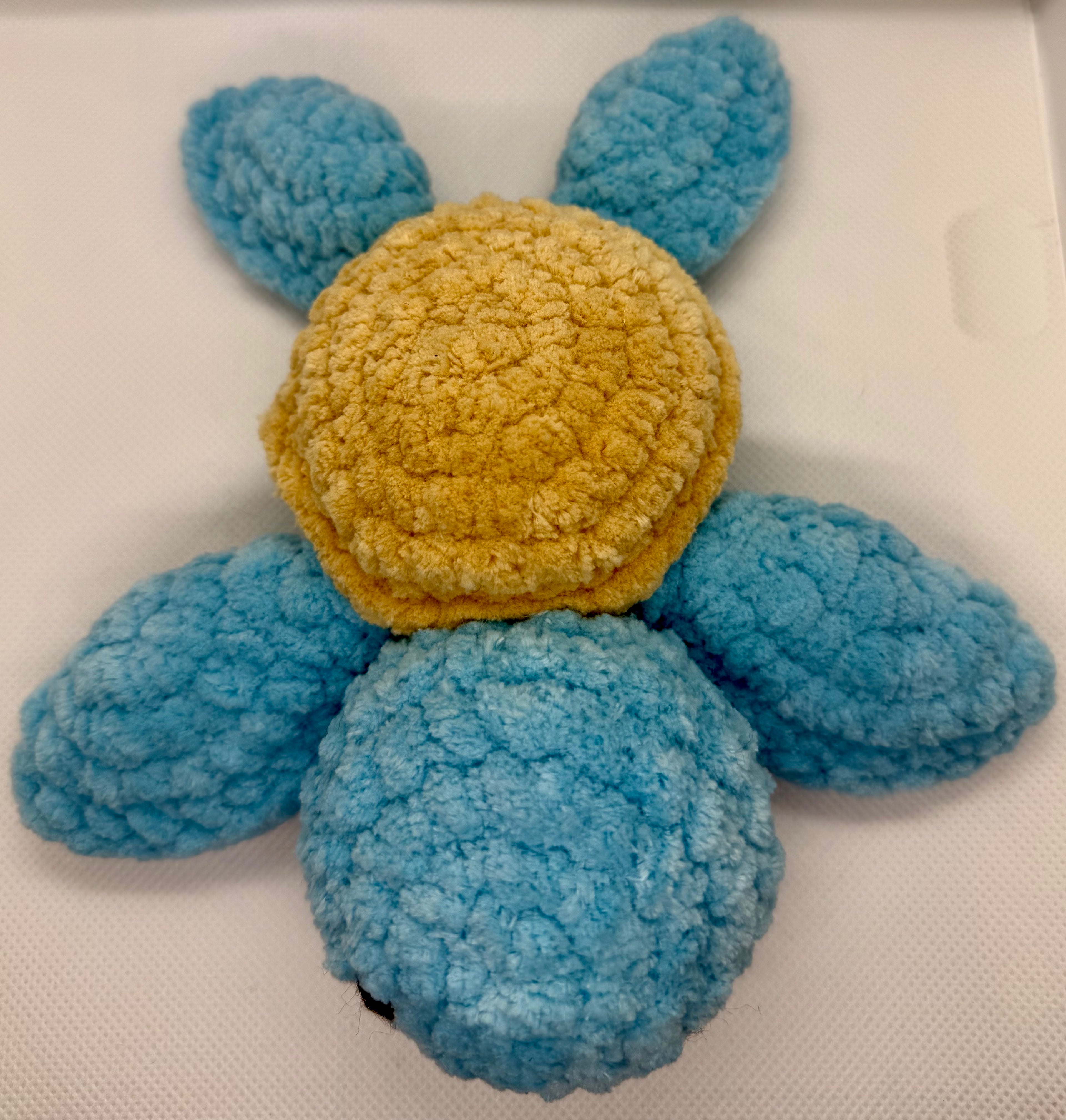 Kame the Sea Turtle