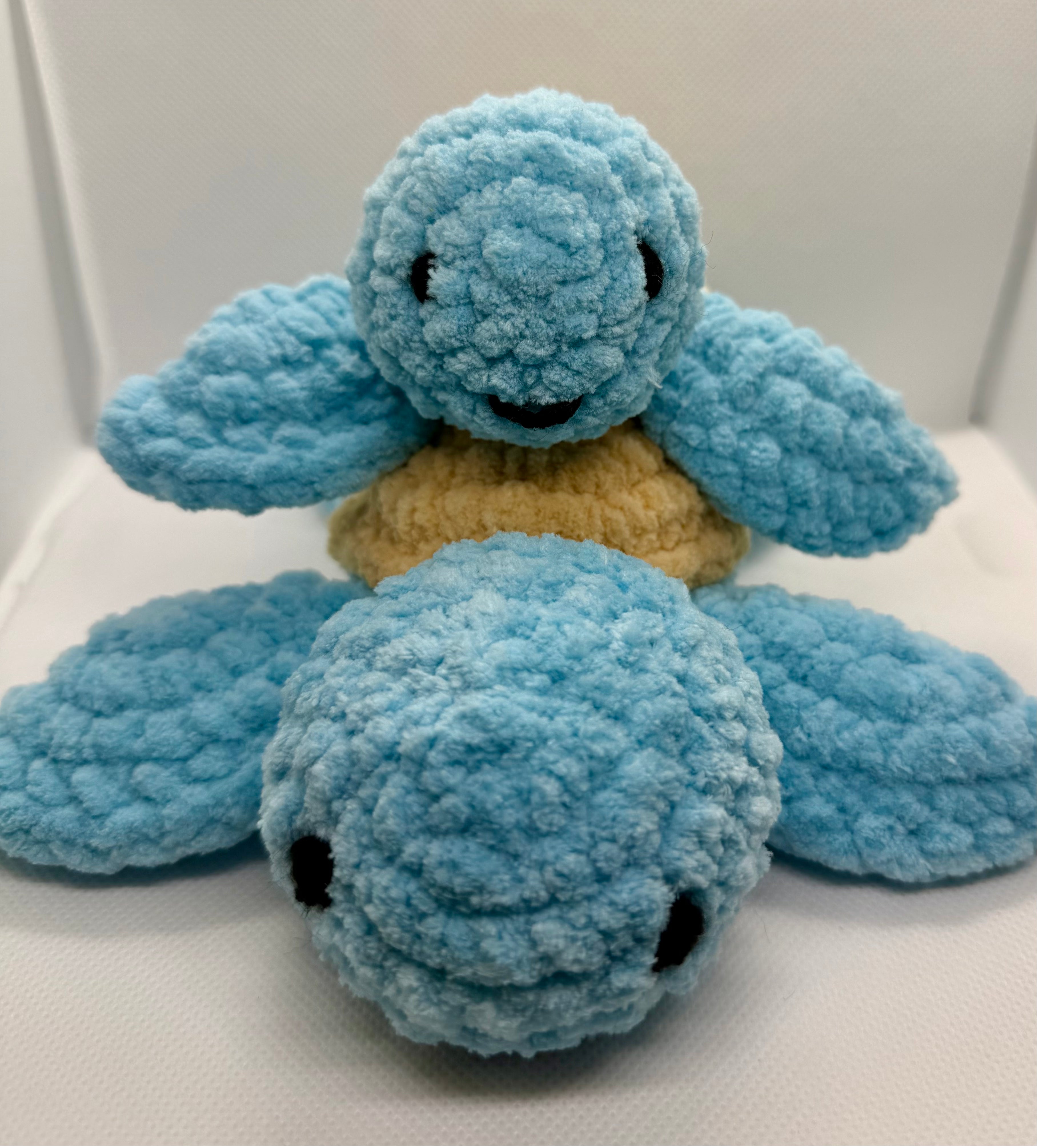 Kame the Sea Turtle